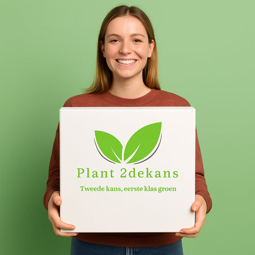 Buitenplanten Kneusjes box (8 stuks)