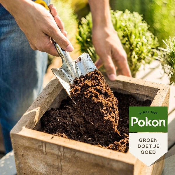 Pokon potgrond | 10 liter