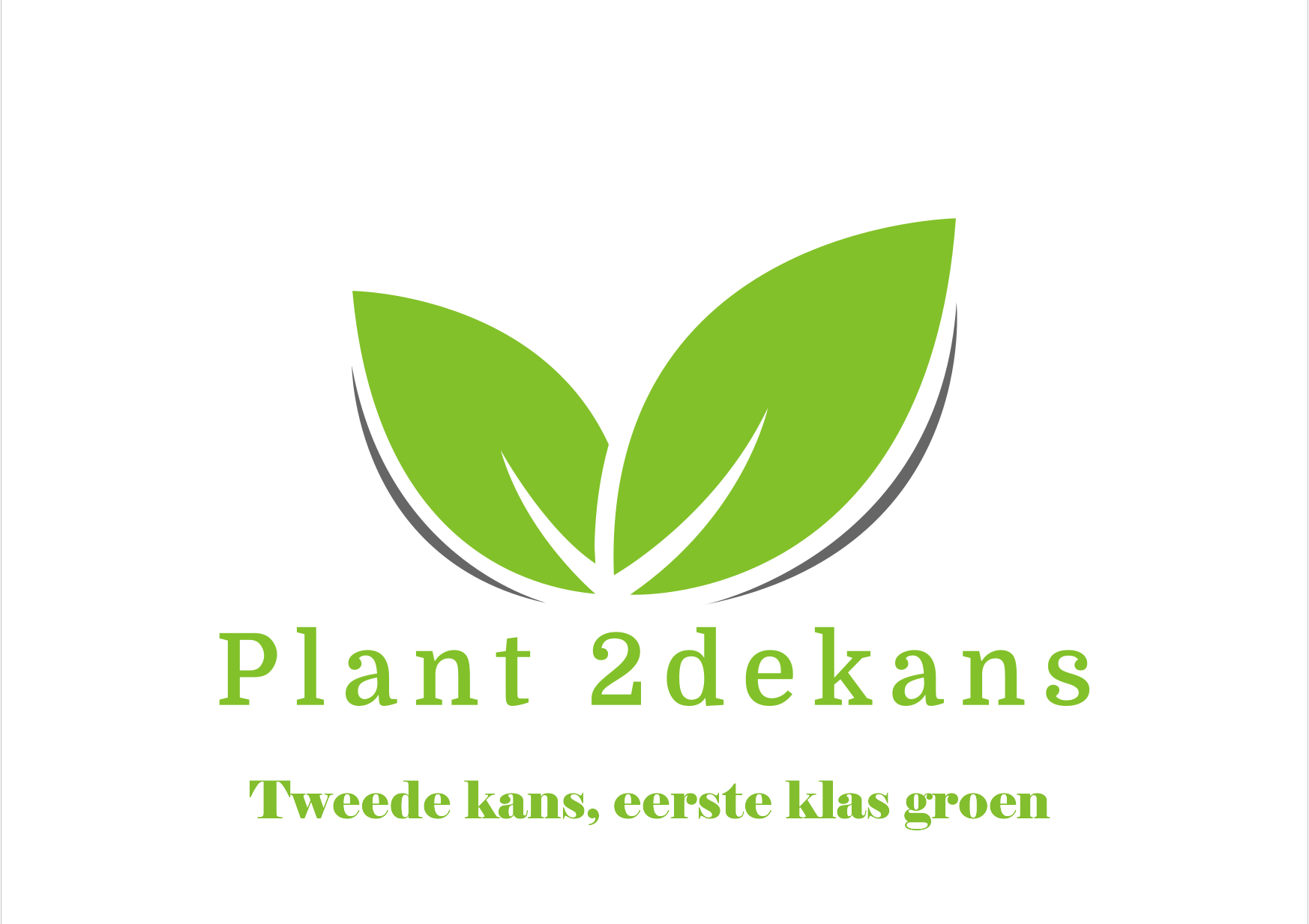 Valentijn Kamerplanten Box ( set van 6 )